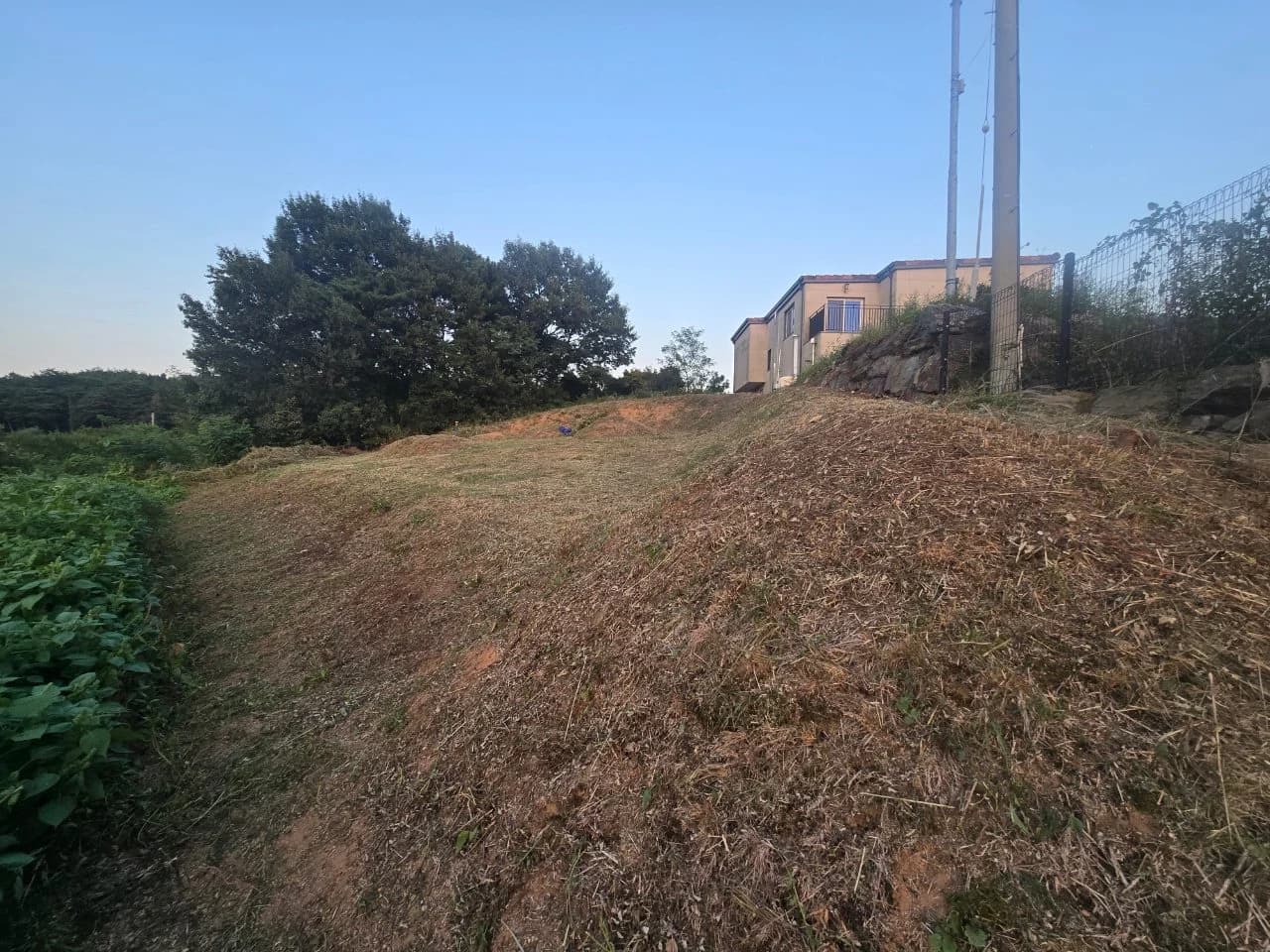 충남 서산시 벌초 의뢰 10062의 실제 작업 후 현장